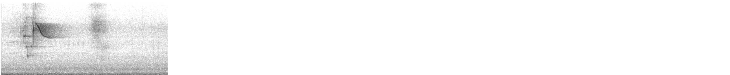 Rotachsel-Kuhstärling - ML646977005