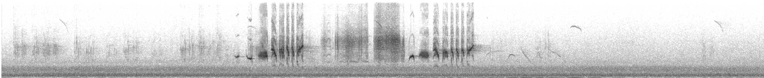 赭紅尾鴝(ochruros群) - ML646977757