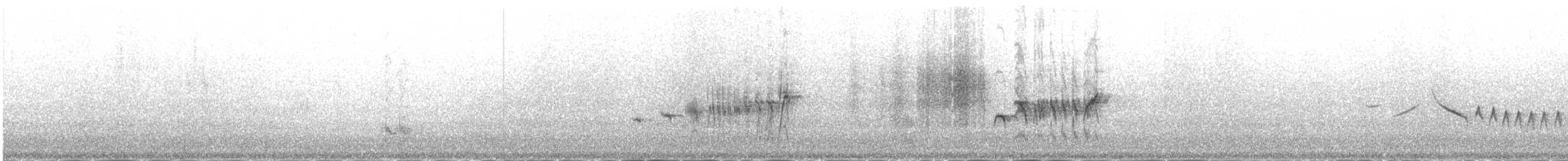 赭紅尾鴝(ochruros群) - ML646977761