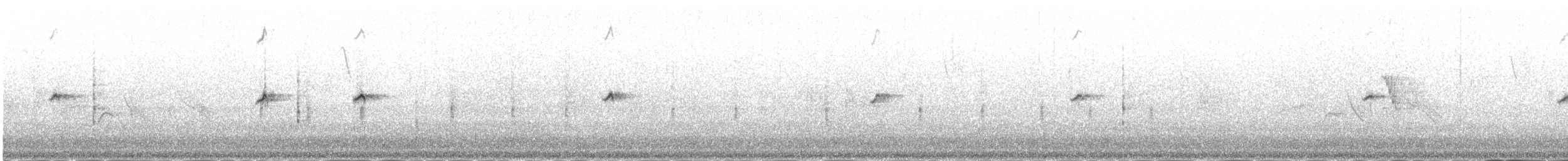 svartrødstjert (ochruros gr.) - ML646977762