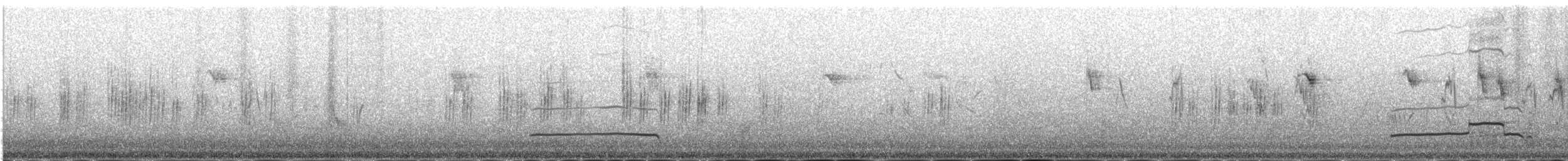 Black Kite (Black-eared) - ML646977873