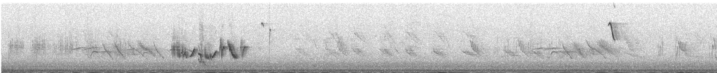 svartstrupesteinskvett - ML646977888