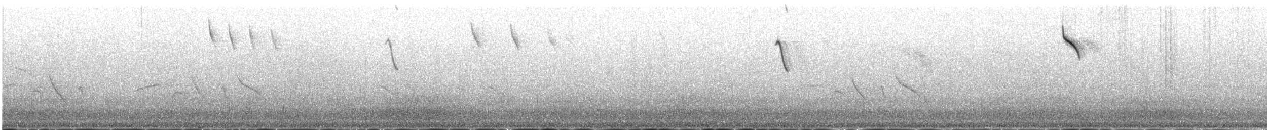 lispurv - ML646977906