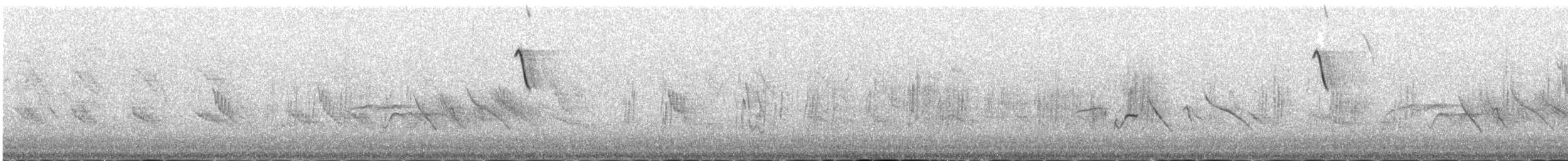 lispurv - ML646977908