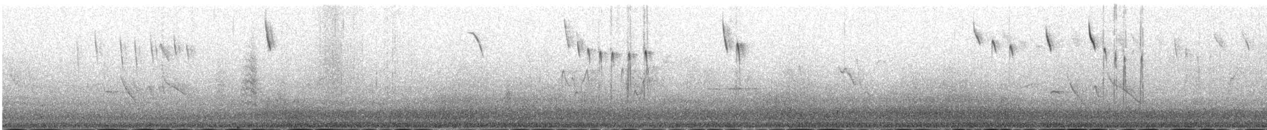 lispurv - ML646977912