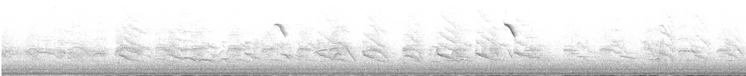 lispurv - ML646977917