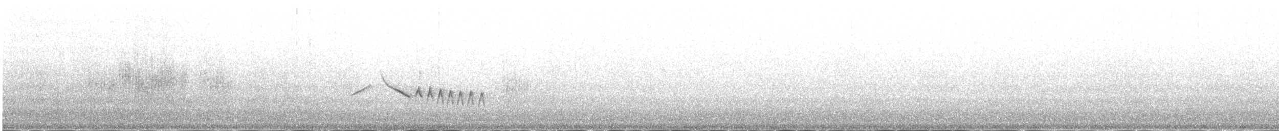 hvitvingerødstjert - ML646977959