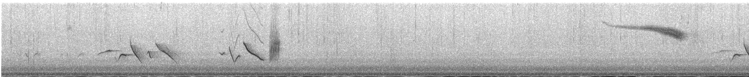 hýl rudý - ML646978012