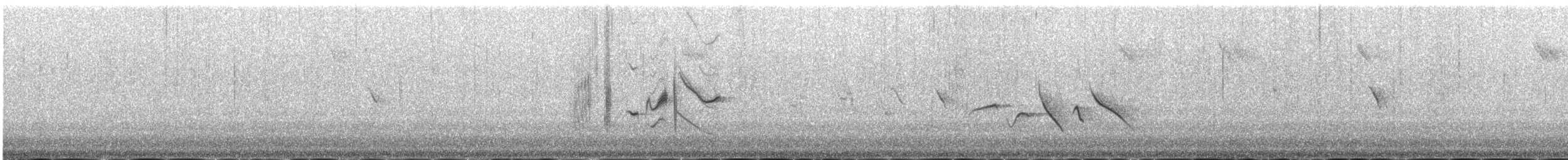 russesvartstrupe (maurus gr.) - ML646978063