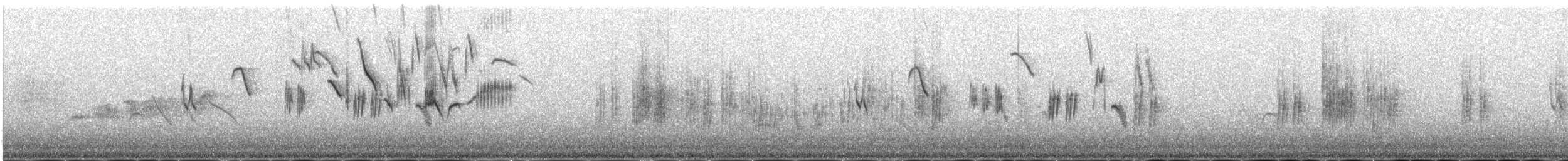 hvitbrynjernspurv - ML646978131