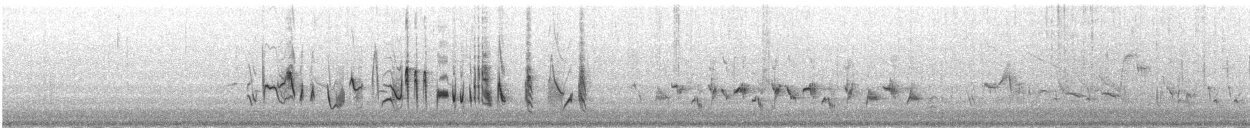 møller (curruca/blythi) - ML646978167