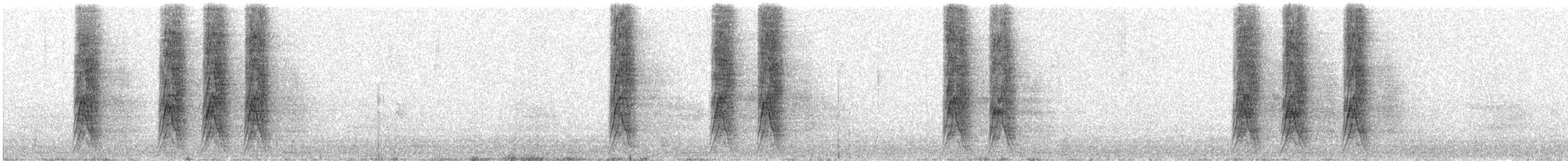 Woodhouse's Scrub-Jay - ML646978438