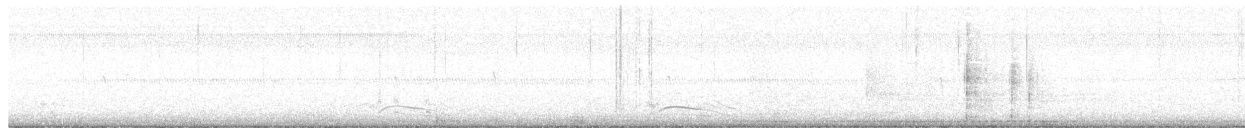 Fuligule à tête rouge - ML646979431