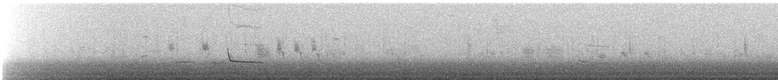 Zimtbauch-Phoebetyrann - ML646979878