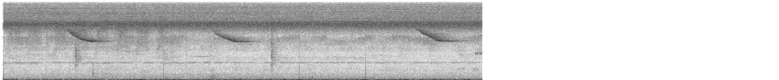 White-tailed Alethe - ML646980108