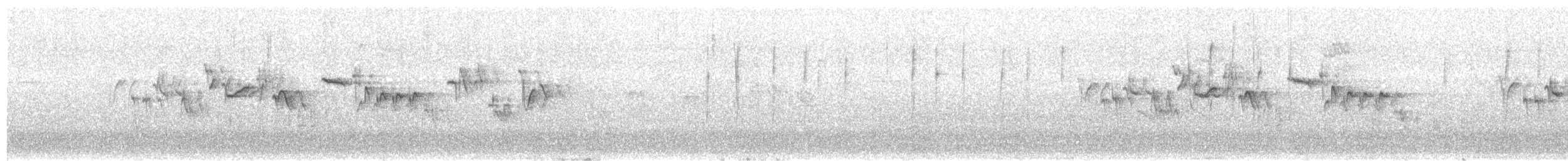 Tuntun arrunta - ML646980750