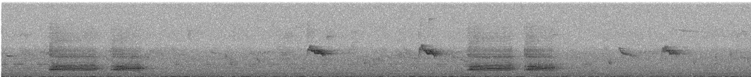 Pied Crow - ML646980780