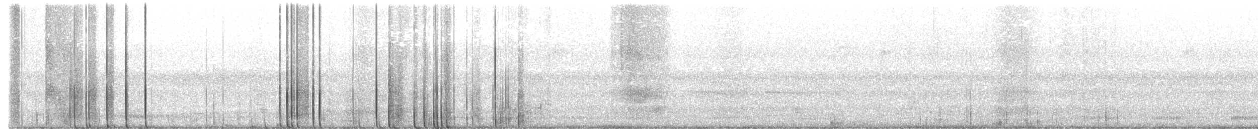 Common Raven - ML646981153