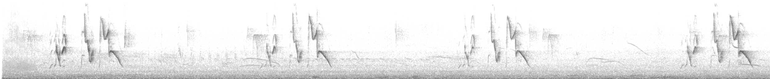 Пампасник великий - ML646981210