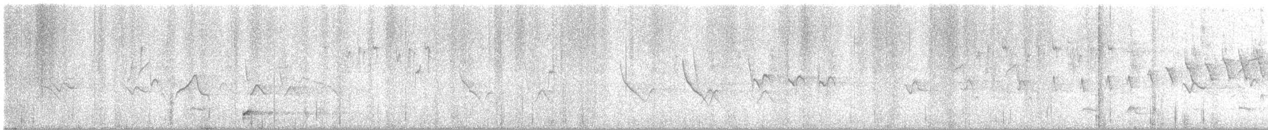 Tawny Antpitta - ML646981399