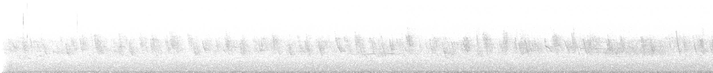 Violet-green Swallow - ML646981428