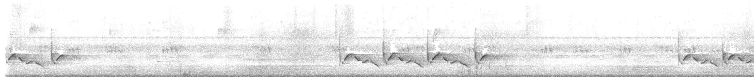 Carolina Wren - ML646981523