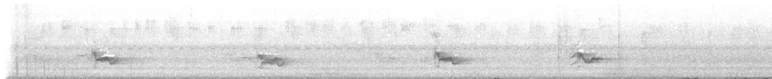 Yellow-throated Vireo - ML646981758