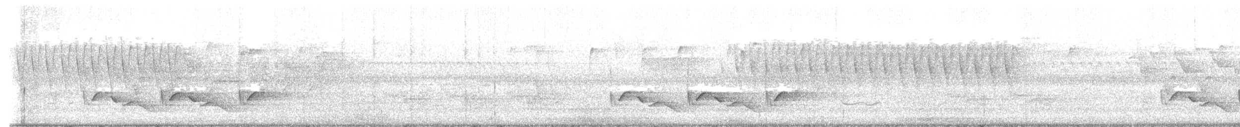 Carolina Wren - ML646982360