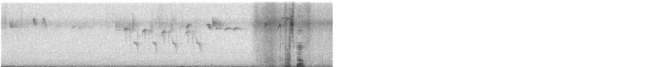 Mokoker arrunta (2 mota) - ML646982784