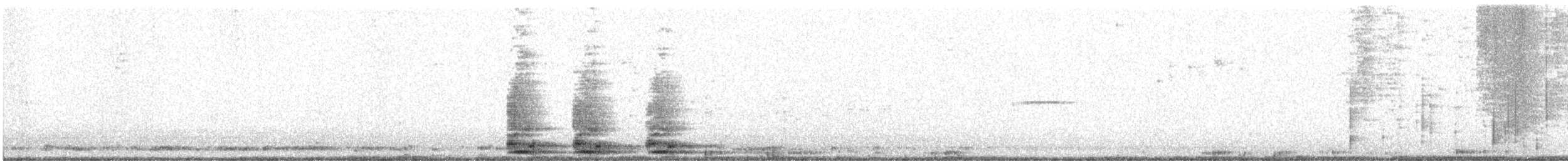 ワタリガラス - ML646982822