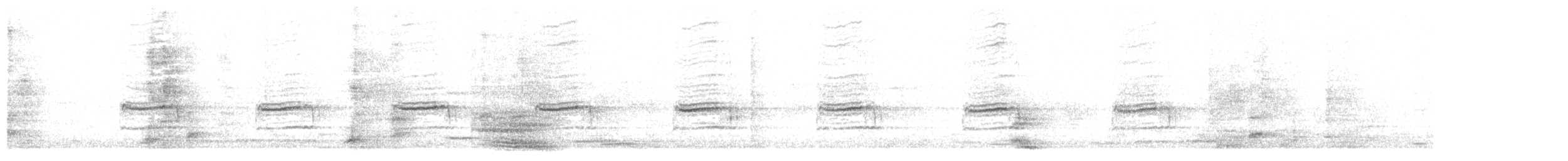 Сорочья граллина - ML646984067