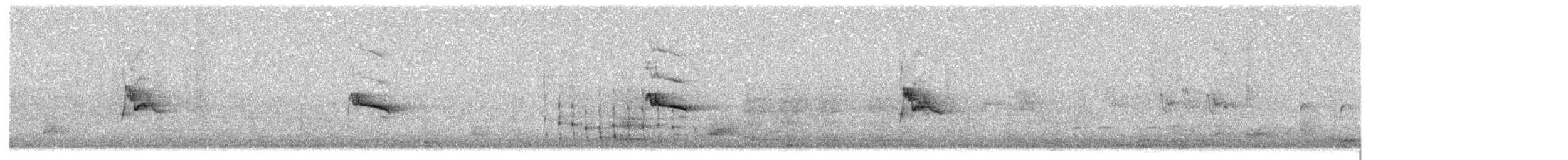 Серебряная белоглазка - ML646984104