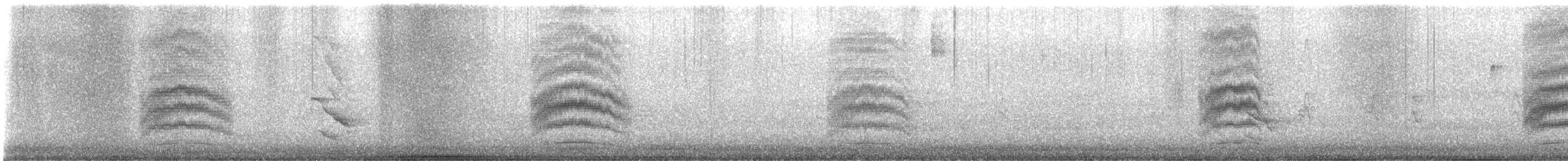 Пятнистый тохи - ML646984454