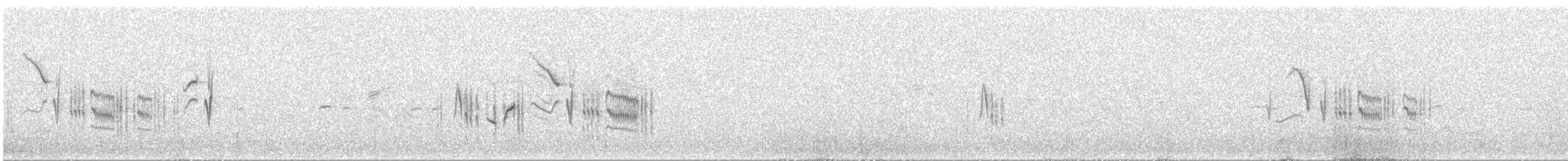 Curruca Rabilarga - ML646984980