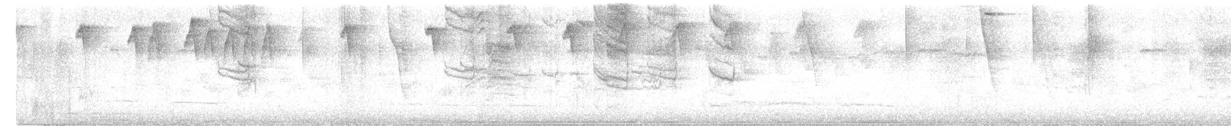 Красноногий саи - ML646985555