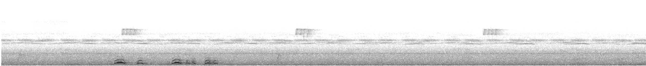 Cárabo Africano - ML646986354