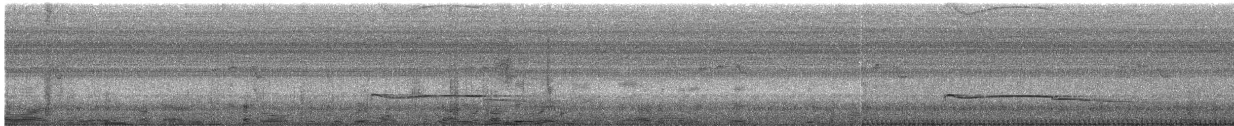 langstjerthauk - ML646986401