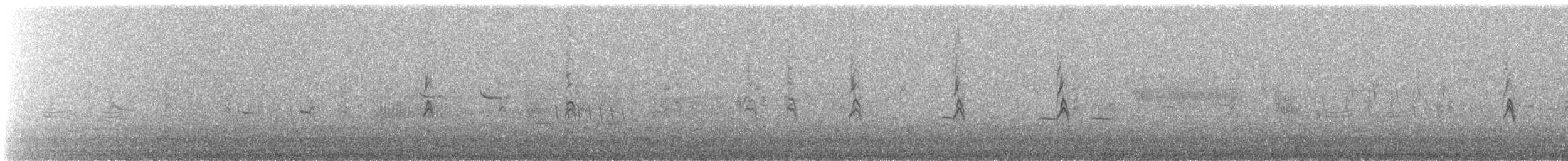 Song Sparrow - ML646986439