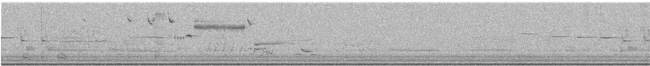 Savannah Sparrow - ML646986565