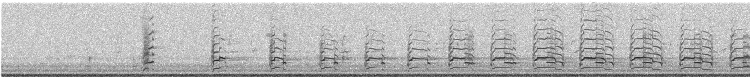 Red-shouldered Hawk - ML646986644