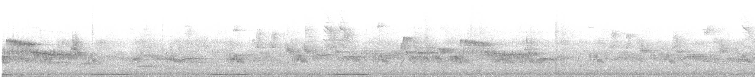 Southern House Wren - ML646986654