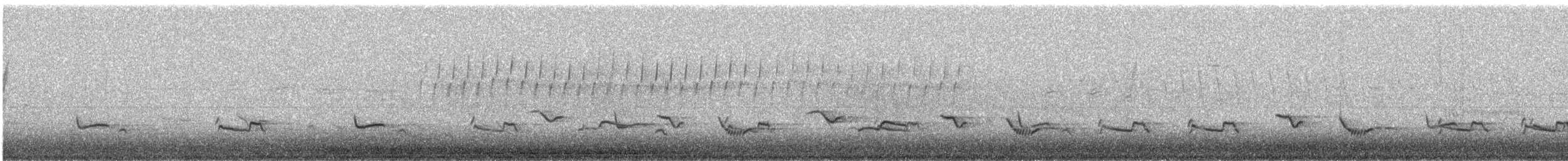 American Robin - ML646986746