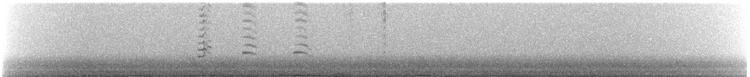 passerine sp. - ML646986994