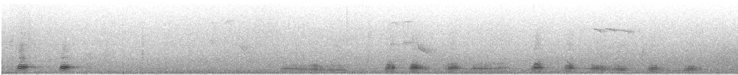 svartkråke - ML646987620