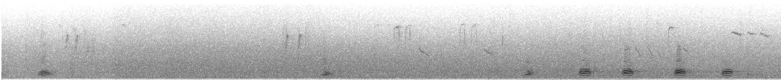 svartkråke - ML646987777