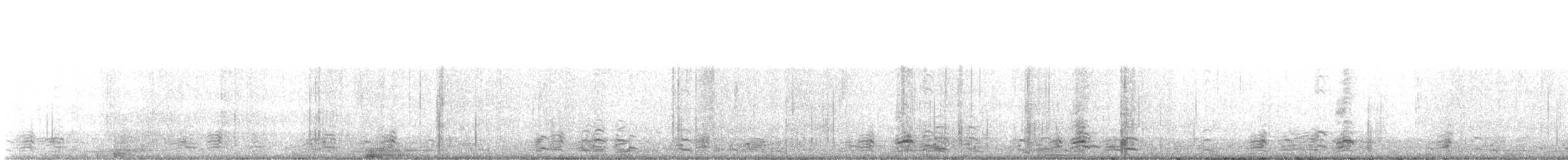 berneška malá - ML646988537