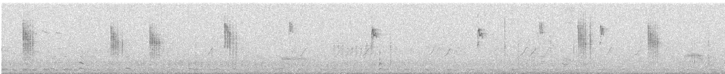 Codibugnolo - ML646988861