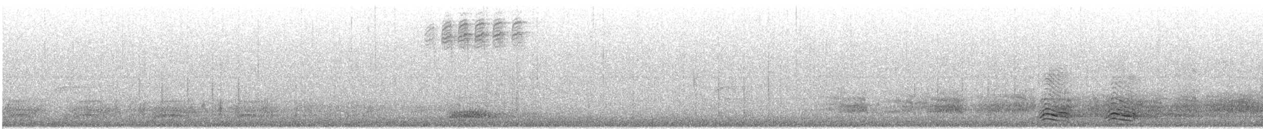 svartkråke - ML646989144