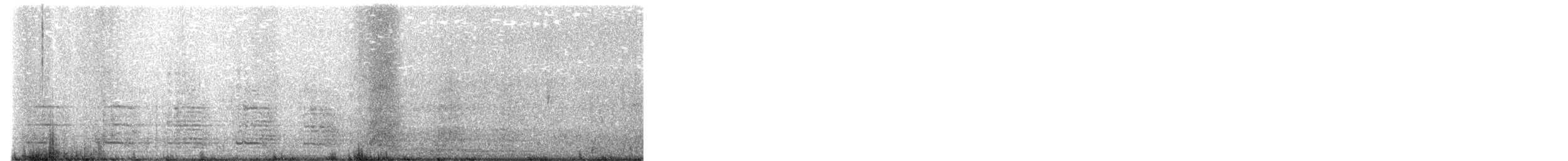 Erect-crested Penguin - ML646989371