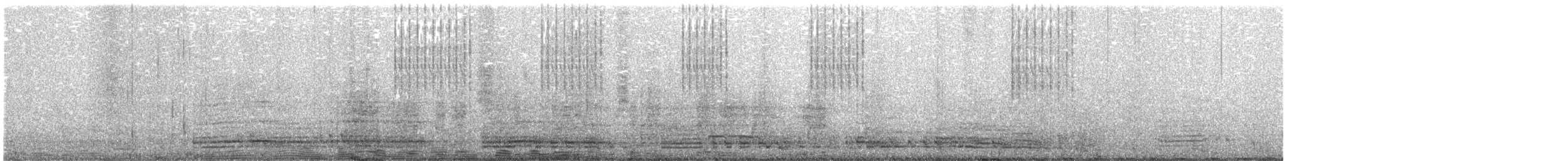 Erect-crested Penguin - ML646989372